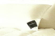 Absolute luxury Chalet pillow