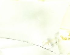 Absolute Luxury Empress pillow