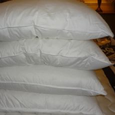 Dacron Allerban hollow fibre pillow