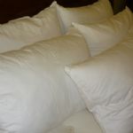 Euroquilt 100% Pyrenean Duck down pillow