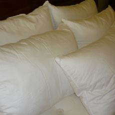 Euroquilt Pyrenean Duck down and feather pillow 30/70%