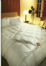 Premier down Gem duvet -All seasons system