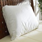 Sleep secrets Night therapy best of both worlds pillow