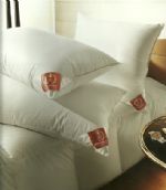 The Down Surround pillow